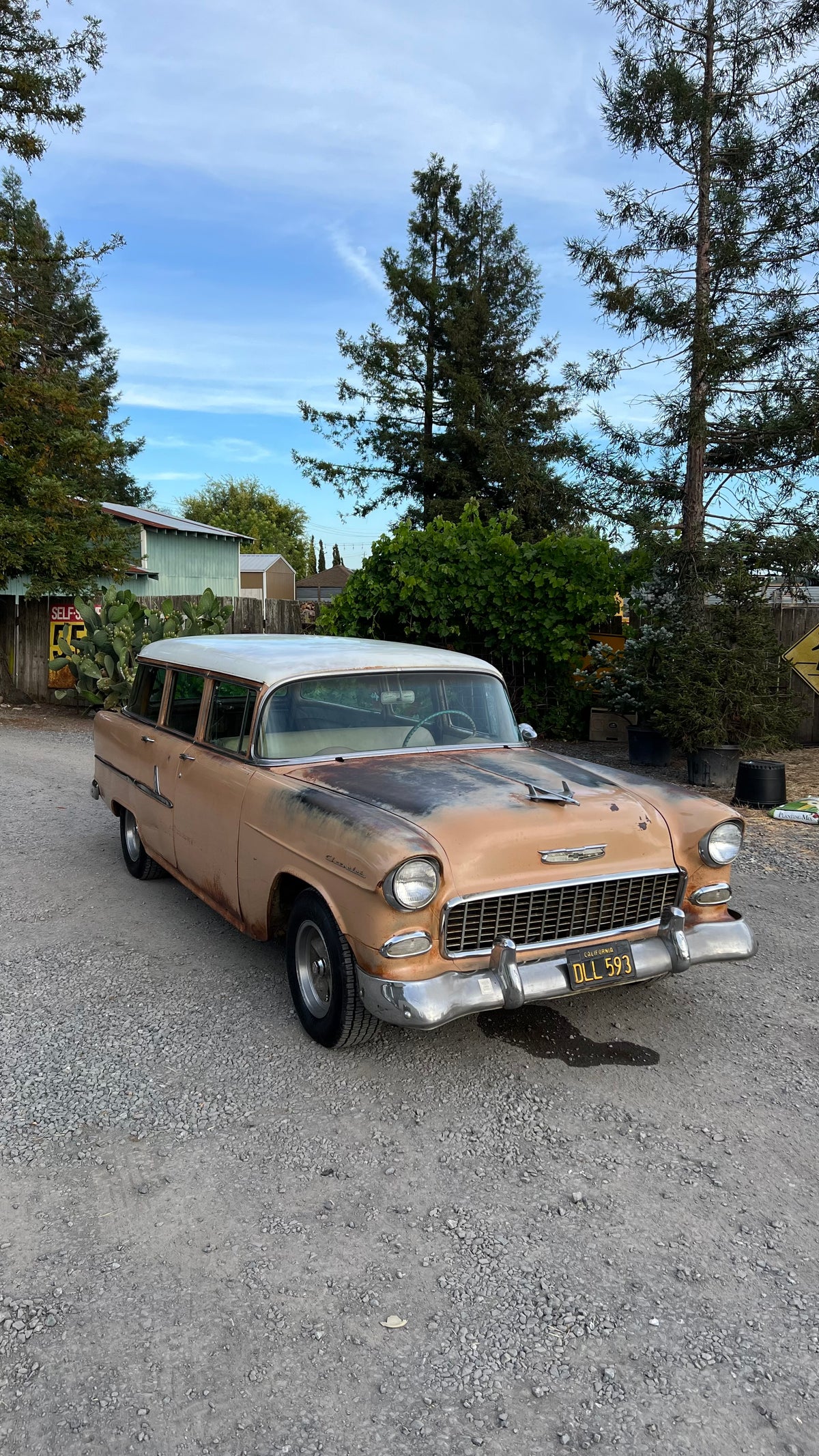 "La Bomba" 1955 Chevy Tee